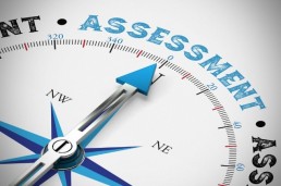 assessment HR Power Bart Menschaert